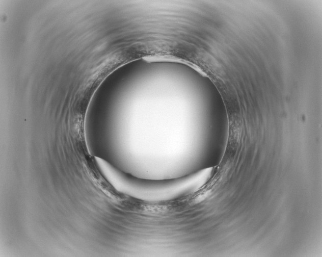 X0000086950141200704231435