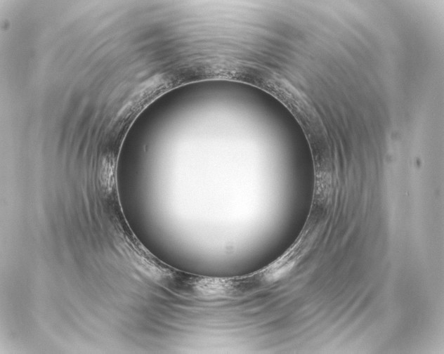 X0000086950142200704231435