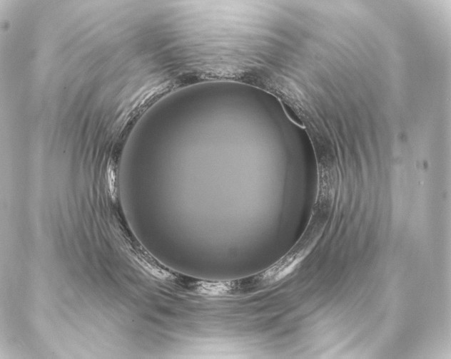 X0000086950143200704231435