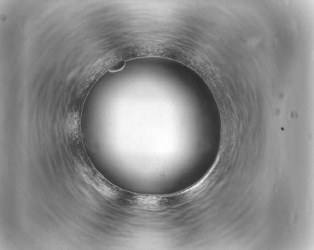 X0000086950144200704231435