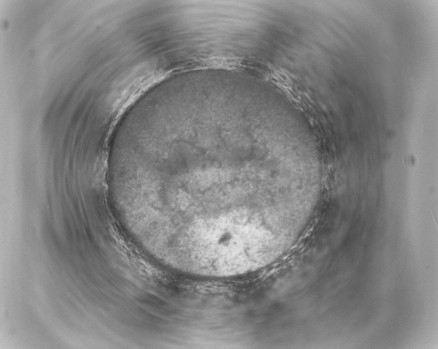 X0000086950146200704231434