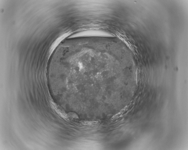 X0000086950147200704231434