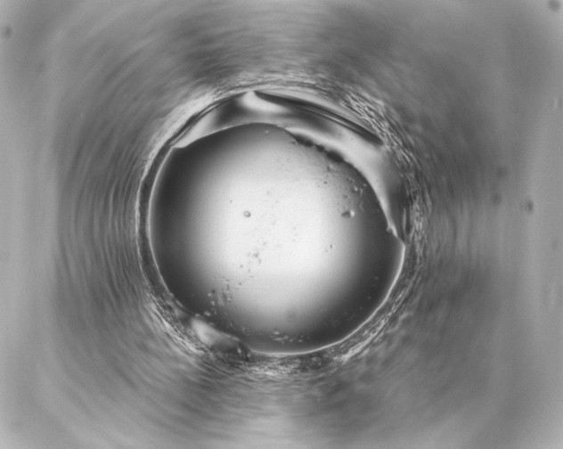 X0000086950148200704231434