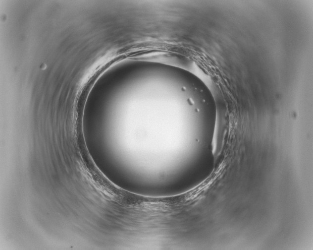 X0000086950150200704231434