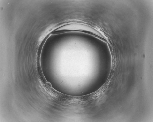 X0000086950151200704231434