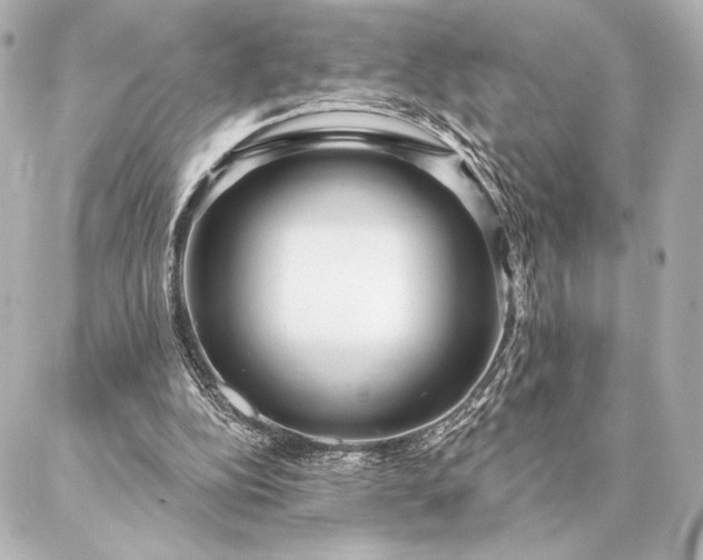 X0000086950152200704231434