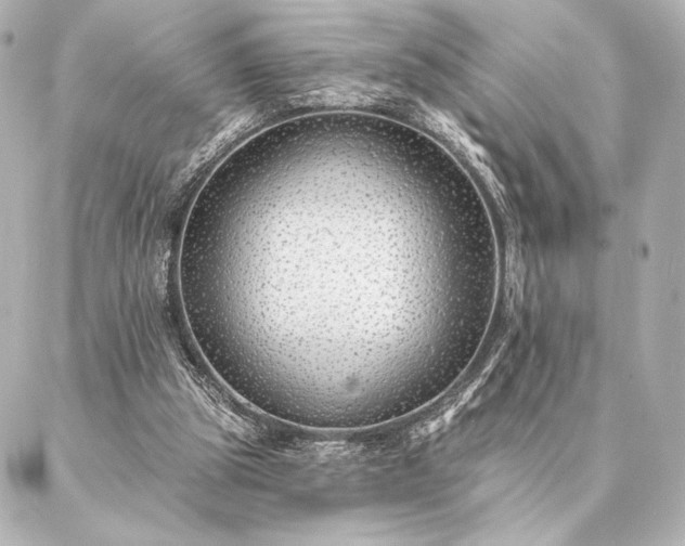 X0000086950153200704231434