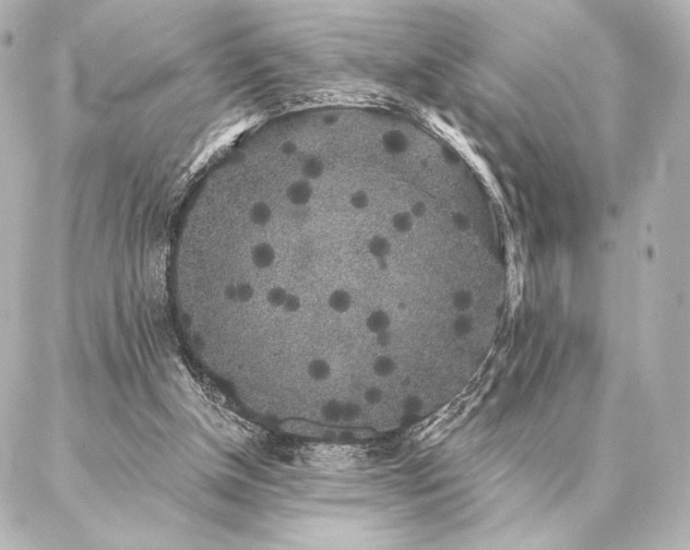 X0000086950154200704231434