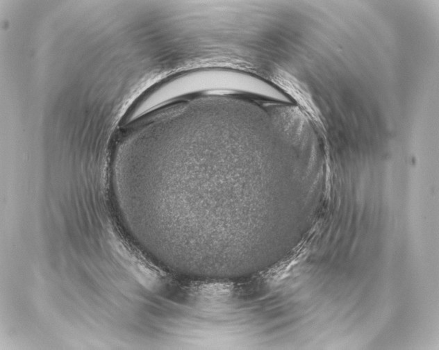 X0000086950156200704231434