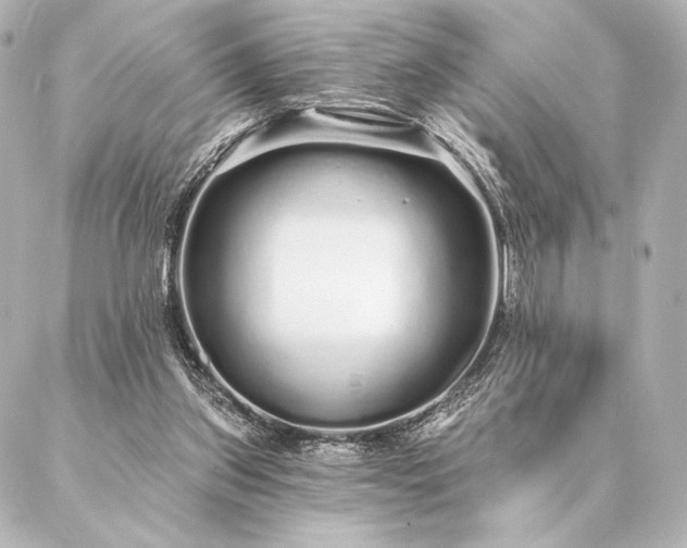 X0000086950157200704231434