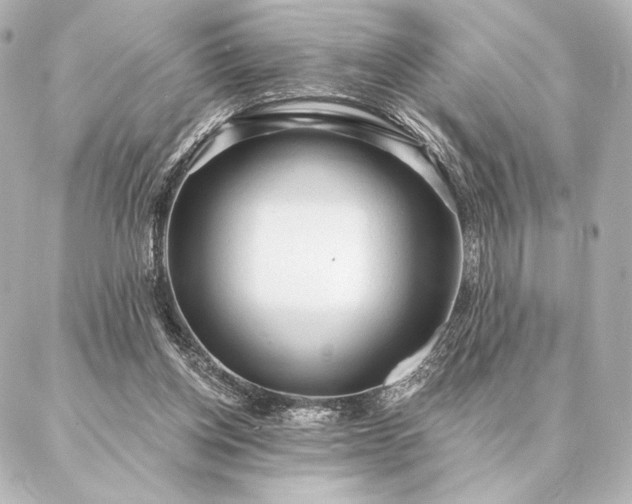 X0000086950158200704231434