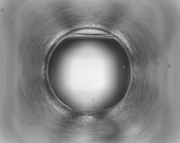 X0000086950159200704231434