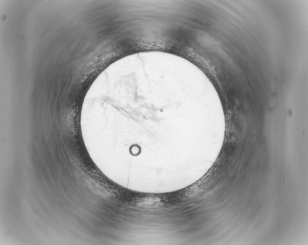 X0000086950162200704231434