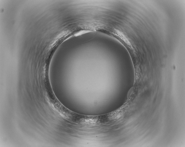 X0000086950163200704231434