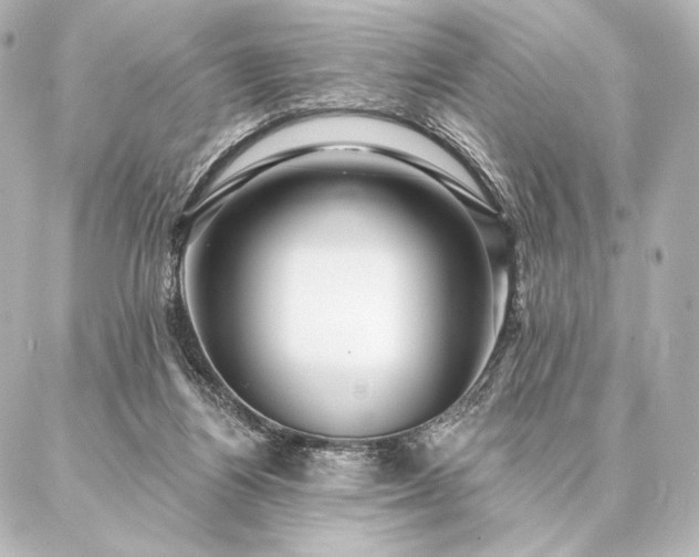 X0000086950164200704231434