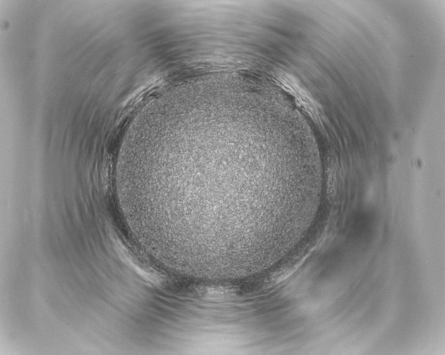 X0000086950165200704231434