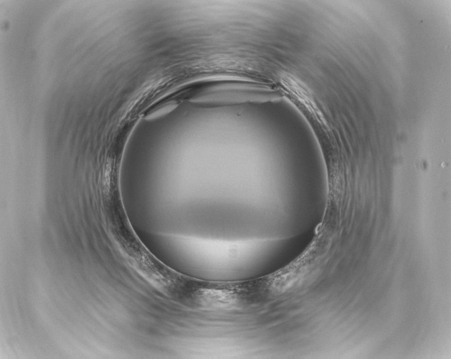 X0000086950167200704231434