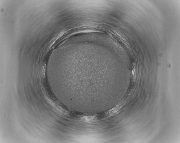 X0000086950168200704231434