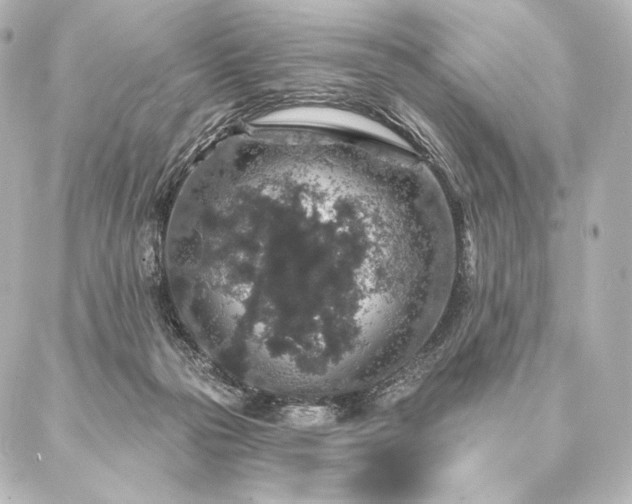 X0000086950169200704231434