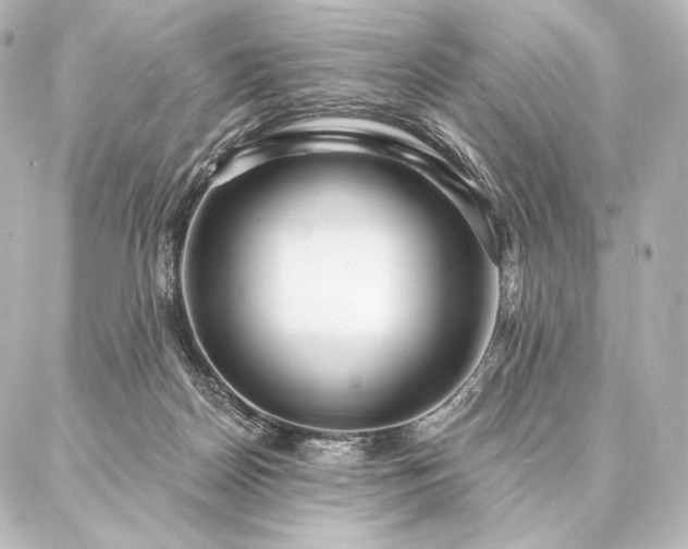 X0000086950170200704231434