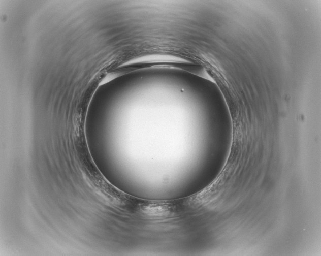 X0000086950171200704231434