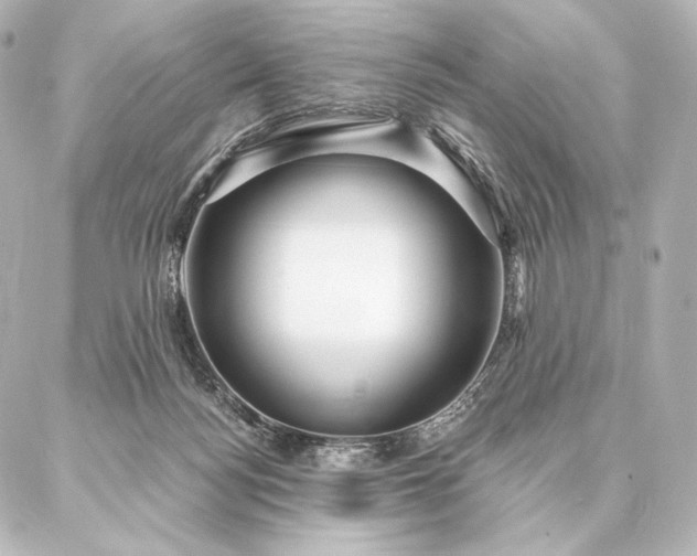 X0000086950172200704231434