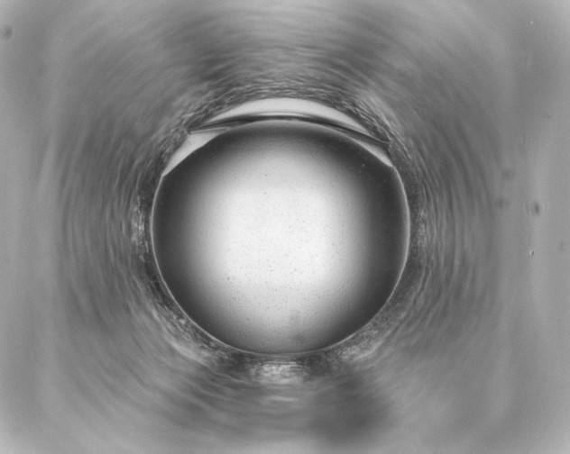 X0000086950173200704231434