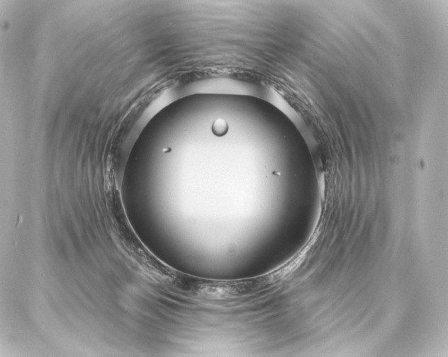 X0000086950174200704231434