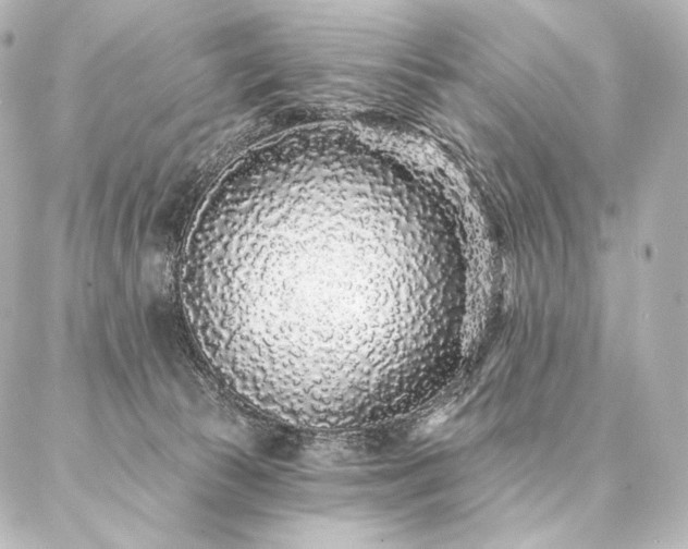 X0000086950177200704231434