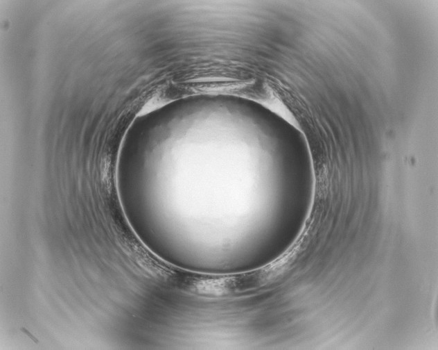 X0000086950178200704231434