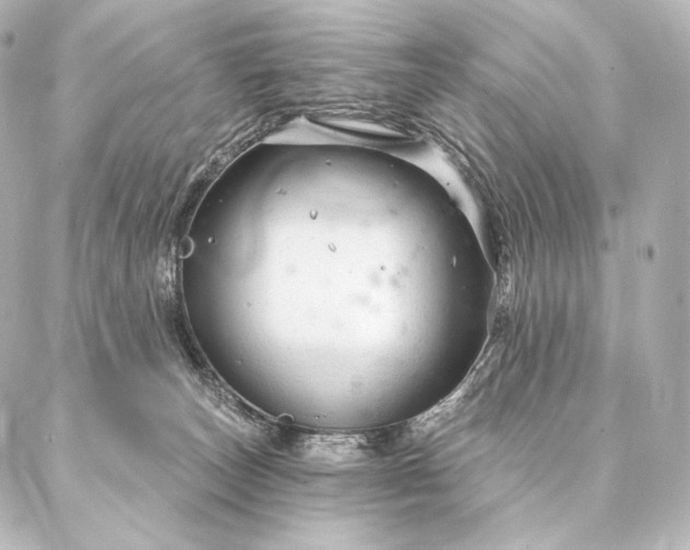 X0000086950179200704231434