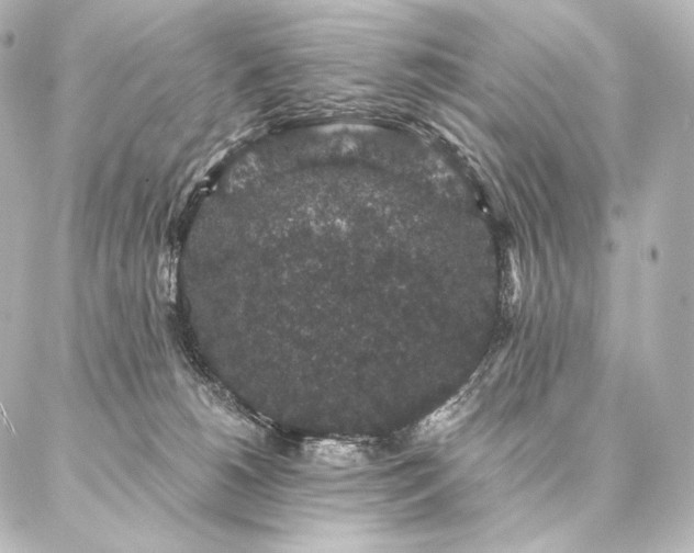 X0000086950180200704231434