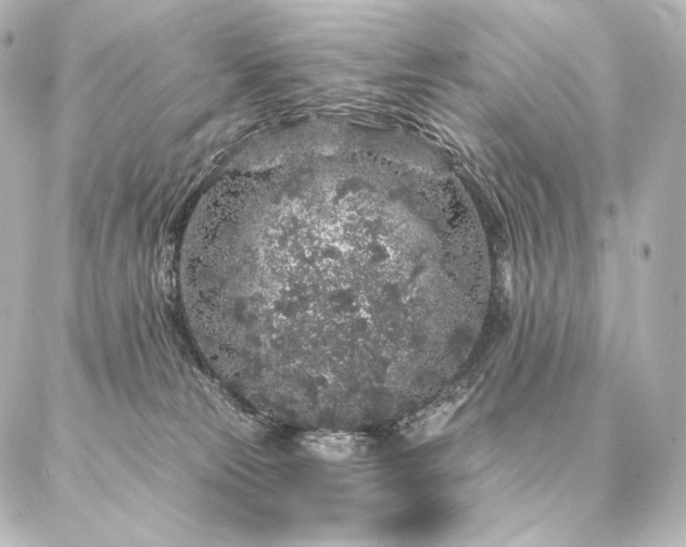 X0000086950181200704231435