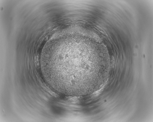 X0000086950182200704231435