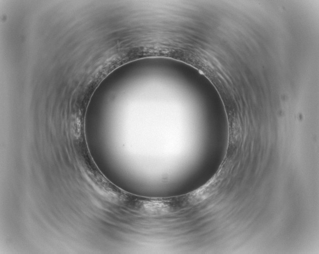 X0000086950183200704231435