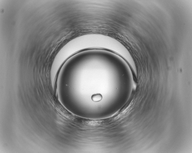 X0000086950184200704231435