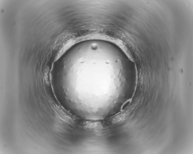 X0000086950185200704231435