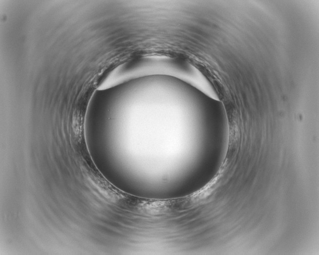 X0000086950186200704231435