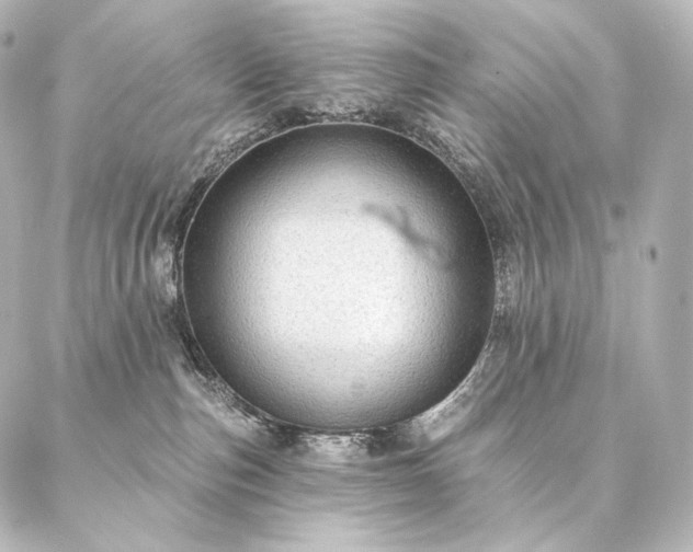 X0000086950187200704231435