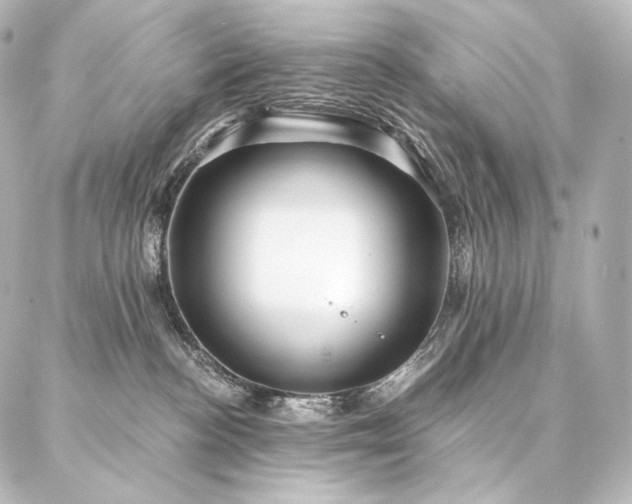 X0000086950188200704231435