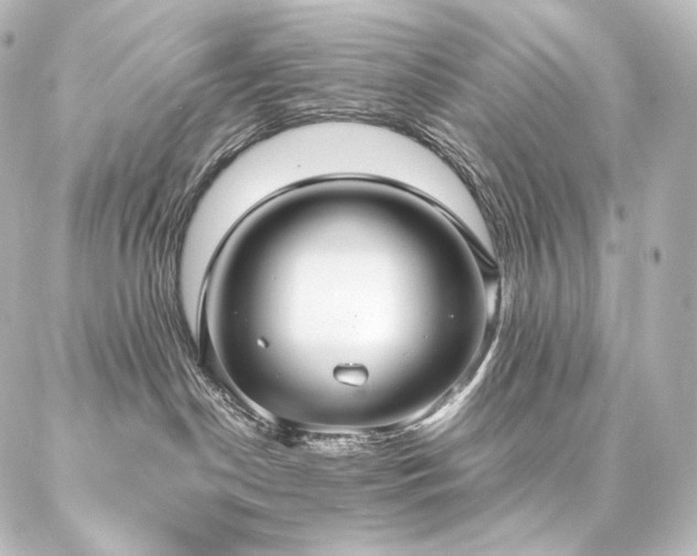 X0000086950190200704231435