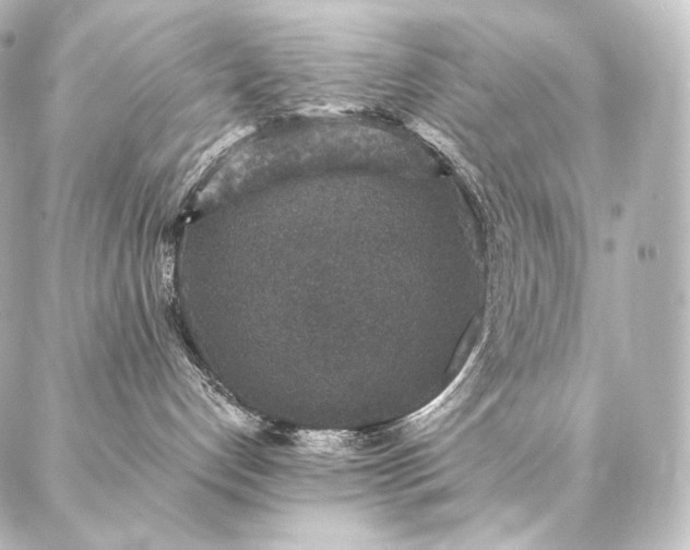 X0000086950192200704231435