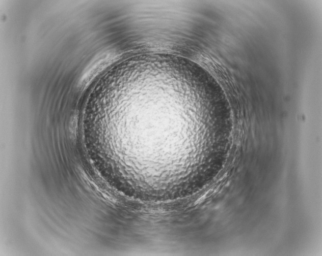 X0000086950194200704231434