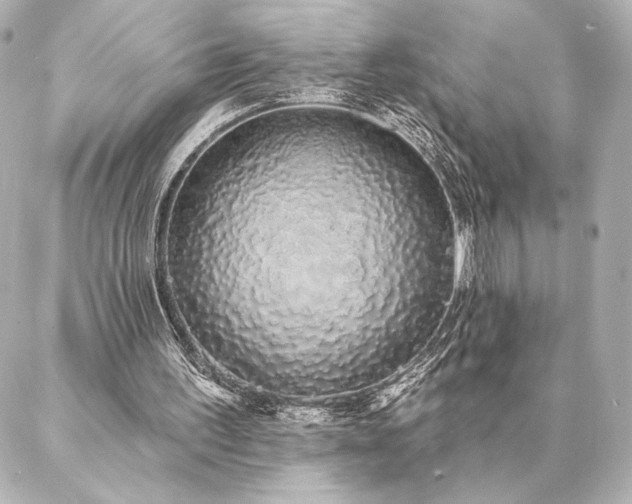 X0000086950195200704231434