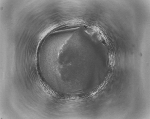 X0000086950196200704231434