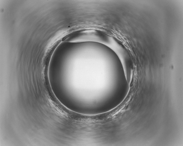 X0000086950197200704231434