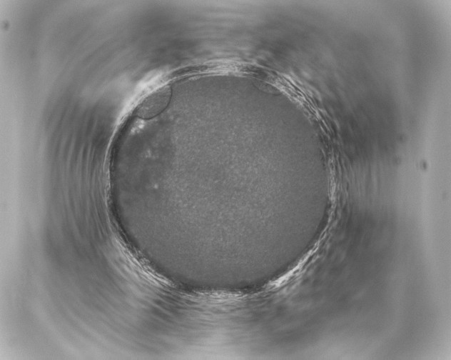 X0000086950198200704231434