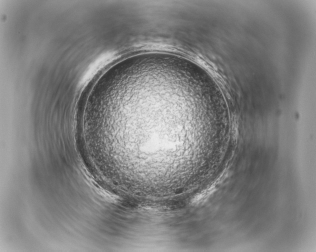 X0000086950199200704231434