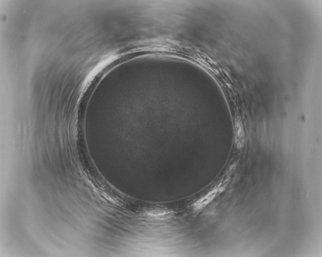 X0000086950200200704231434