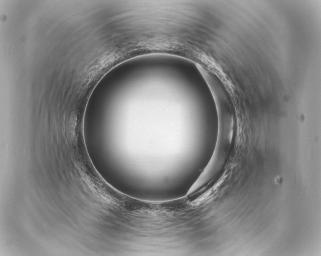 X0000086950201200704231434